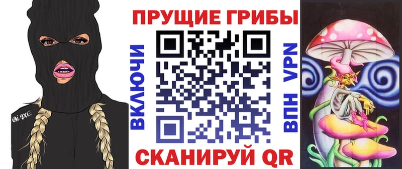 Псилоцибиновые грибы мицелий  даркнет сайт  Тайшет 